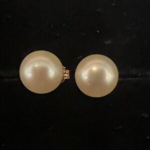Akita Cultured Pearl Stud Earrings